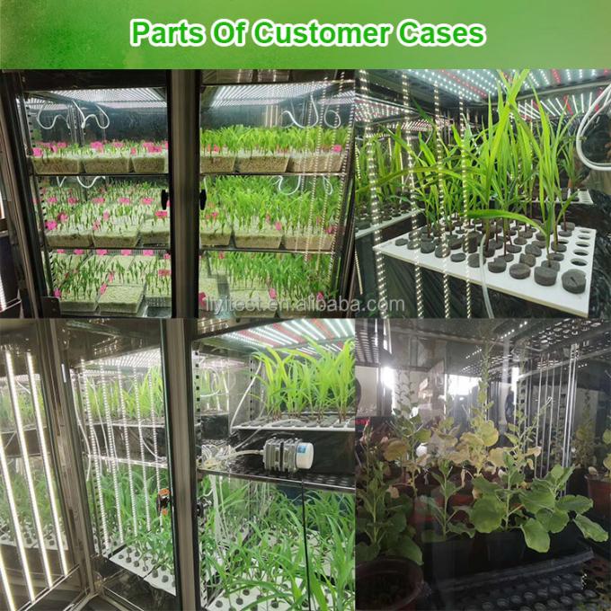 LIYIの植物成長の部屋の人工的な気候の種の発生機械植物成長箱の定温器