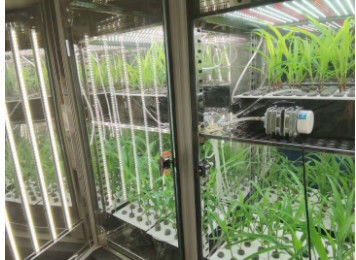 LIYI 植物成長室人工気候種子発芽機気候室環境