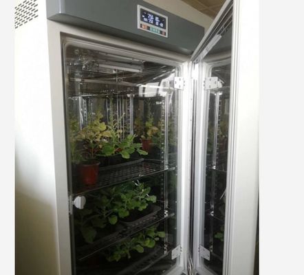 LIYIの植物成長の部屋の人工的な気候の種の発生機械植物成長箱の定温器