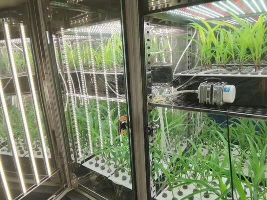 リイ植物の成長室 人工気候 種子発芽機械 植物の成長箱 インキュベーター